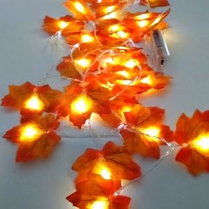 COPY - 10 Ft MAPLE LED DECOR LIGHTS